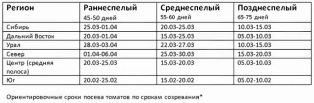 Сроки посева семян томатов по регионам России