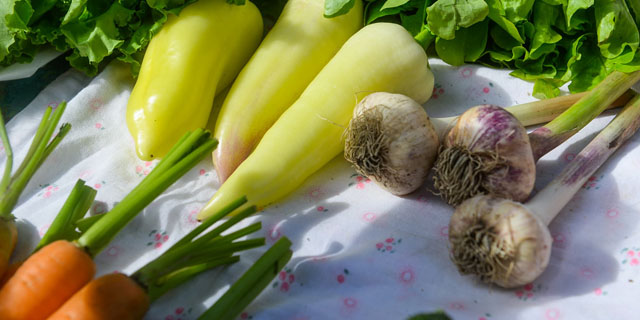 Морковь. Чеснок. Перец