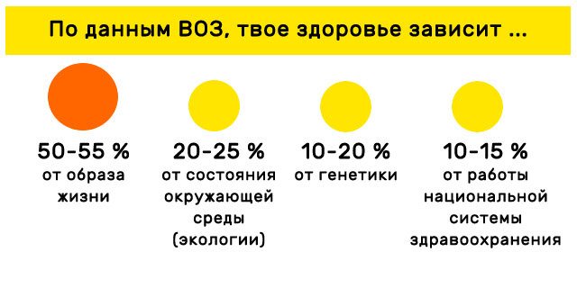 От чего зависит здоровье человека. Данные ВОЗ